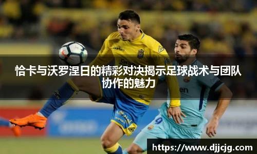 关键词4